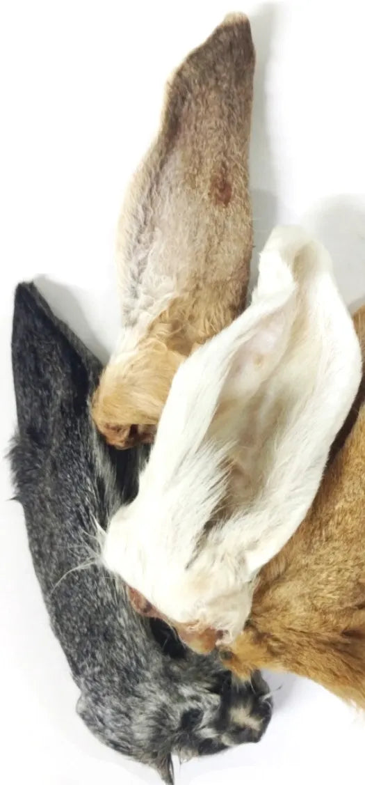Rabbit Ears