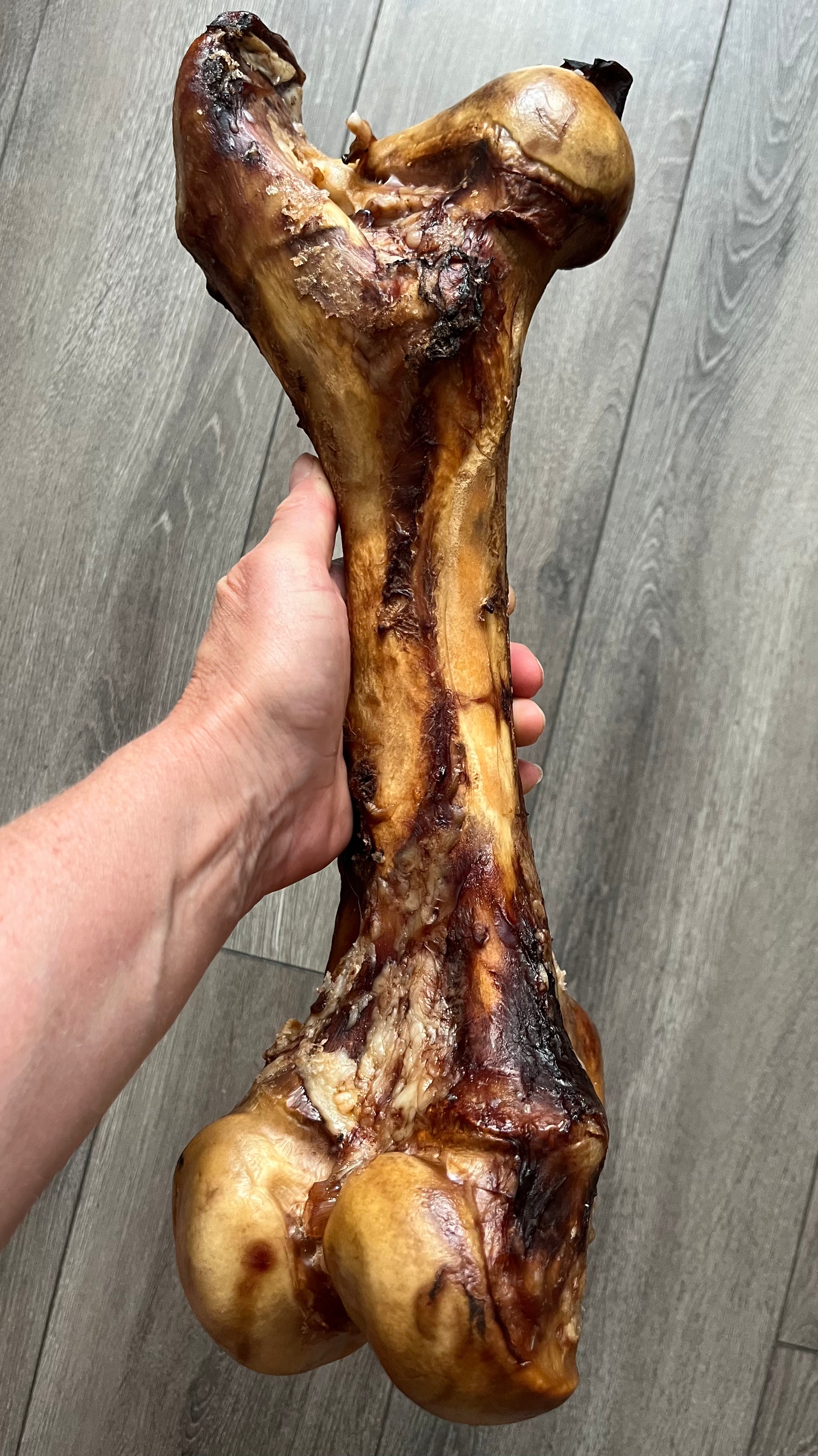 Smoked Dino Bone 18"