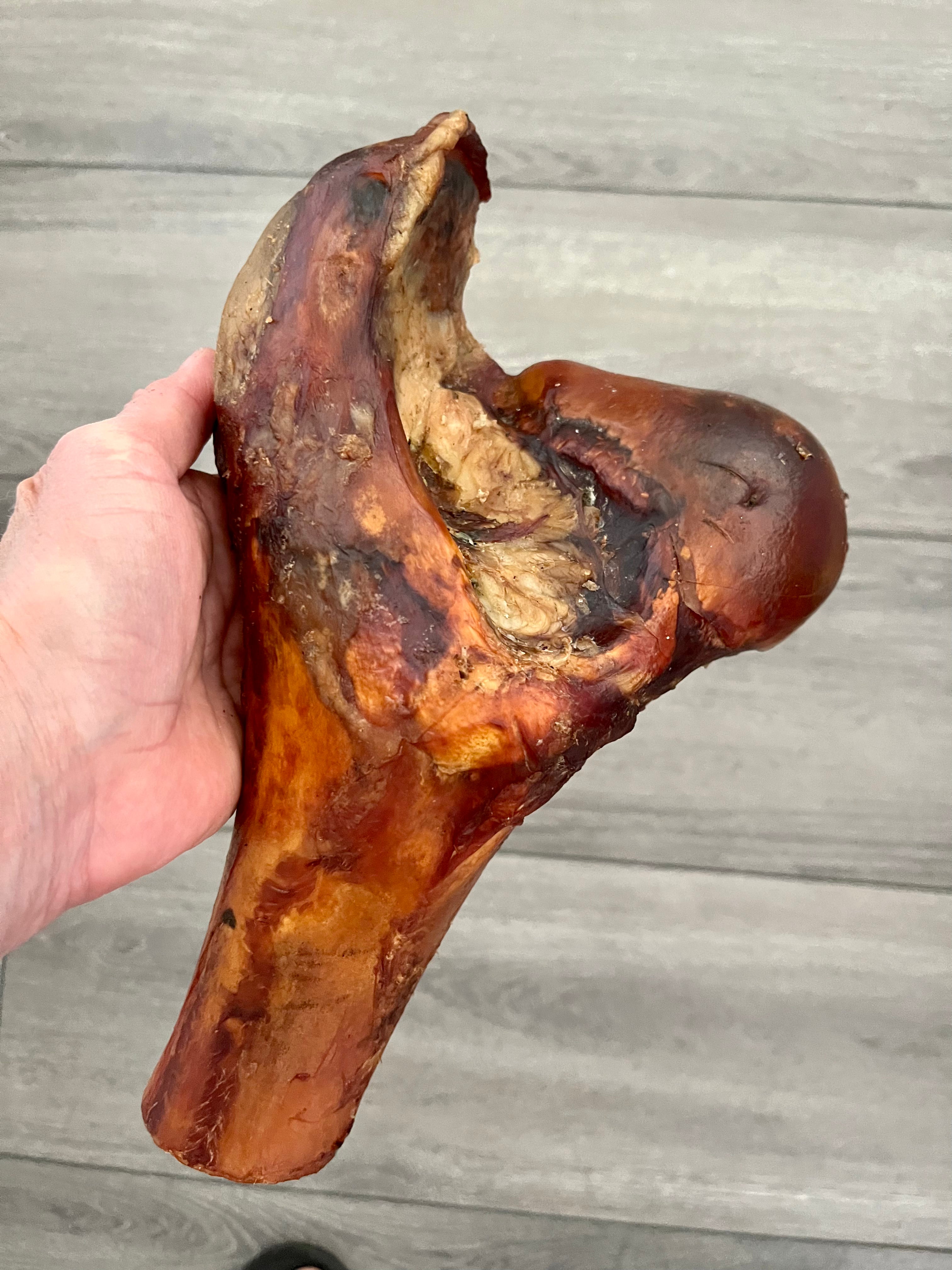 Smoked Dino Club