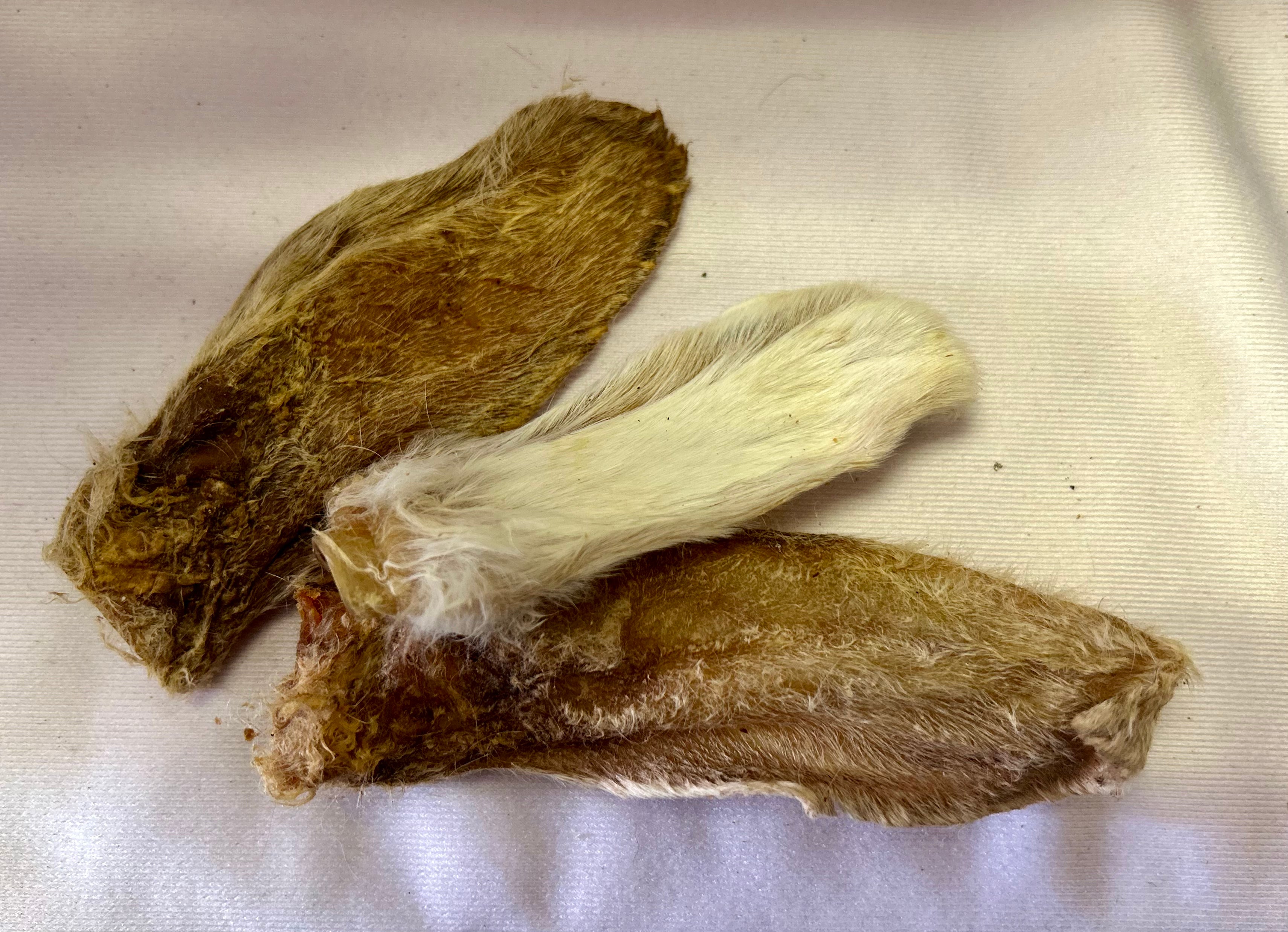 Hairy rabbit ear